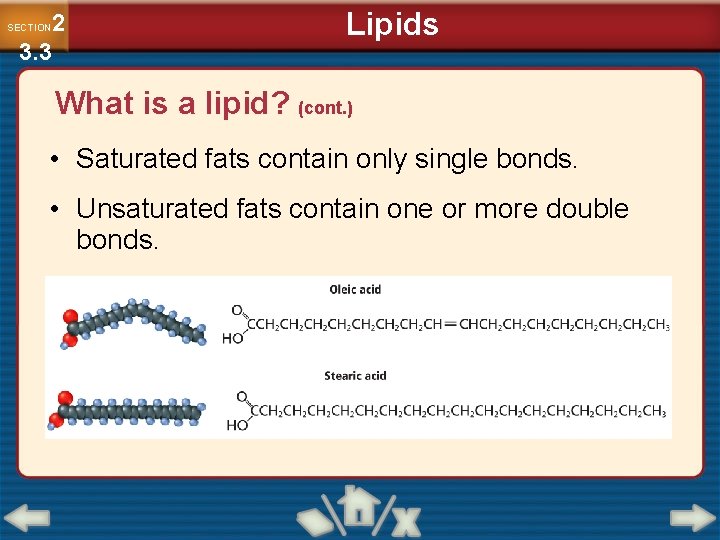 2 3. 3 SECTION Lipids What is a lipid? (cont. ) • Saturated fats