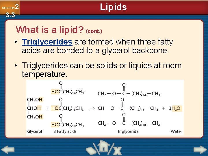 2 3. 3 SECTION Lipids What is a lipid? (cont. ) • Triglycerides are