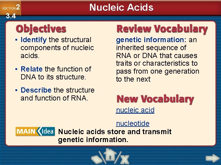 2 3. 4 SECTION Nucleic Acids • Identify the structural components of nucleic acids.