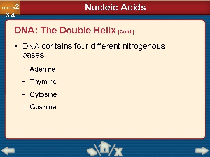 Nucleic Acids 2 3. 4 SECTION DNA: The Double Helix (Cont. ) • DNA