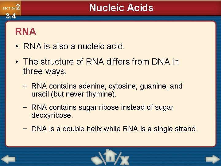 Nucleic Acids 2 3. 4 SECTION RNA • RNA is also a nucleic acid.