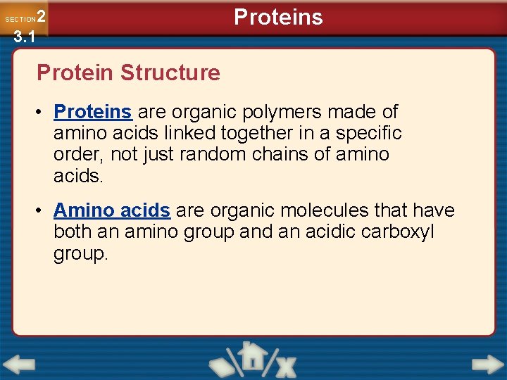 2 3. 1 SECTION Proteins Protein Structure • Proteins are organic polymers made of