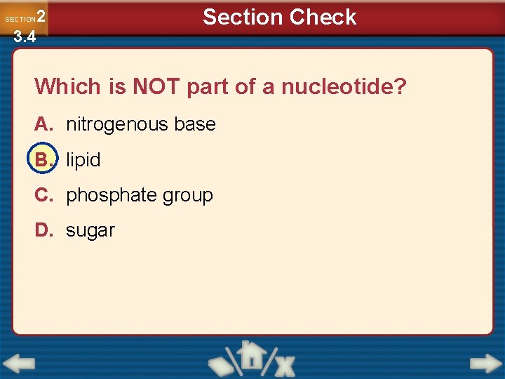 2 3. 4 SECTION Section Check Which is NOT part of a nucleotide? A.