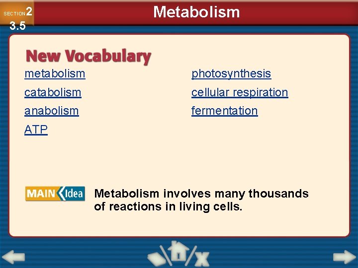 2 3. 5 SECTION Metabolism metabolism photosynthesis catabolism cellular respiration anabolism fermentation ATP Metabolism