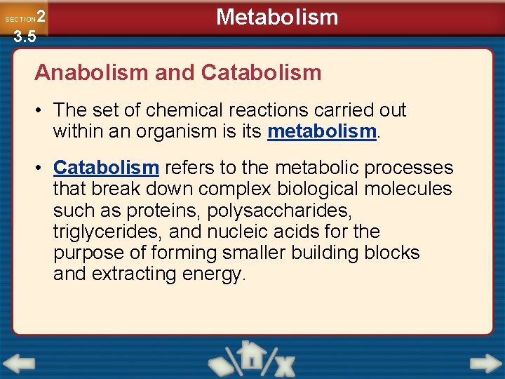 2 3. 5 SECTION Metabolism Anabolism and Catabolism • The set of chemical reactions