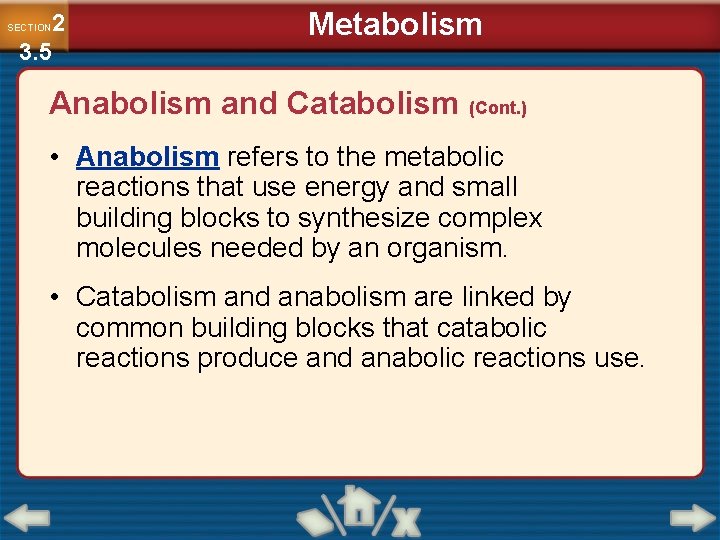 2 3. 5 SECTION Metabolism Anabolism and Catabolism (Cont. ) • Anabolism refers to