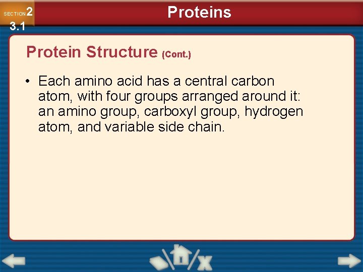 2 3. 1 SECTION Proteins Protein Structure (Cont. ) • Each amino acid has