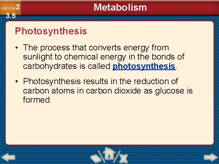 2 3. 5 SECTION Metabolism Photosynthesis • The process that converts energy from sunlight