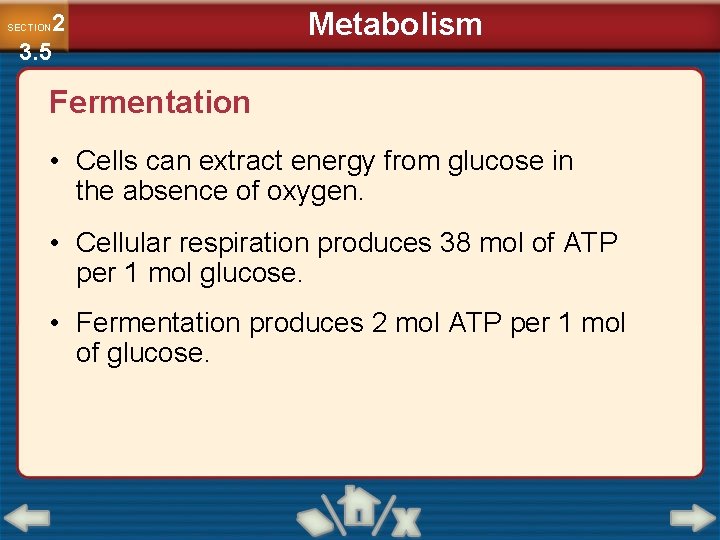 2 3. 5 SECTION Metabolism Fermentation • Cells can extract energy from glucose in