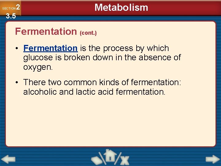 2 3. 5 SECTION Metabolism Fermentation (cont. ) • Fermentation is the process by