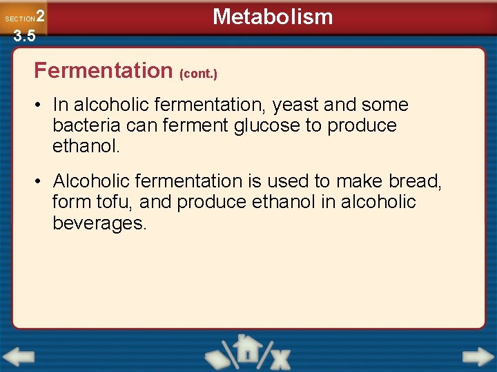 2 3. 5 SECTION Metabolism Fermentation (cont. ) • In alcoholic fermentation, yeast and