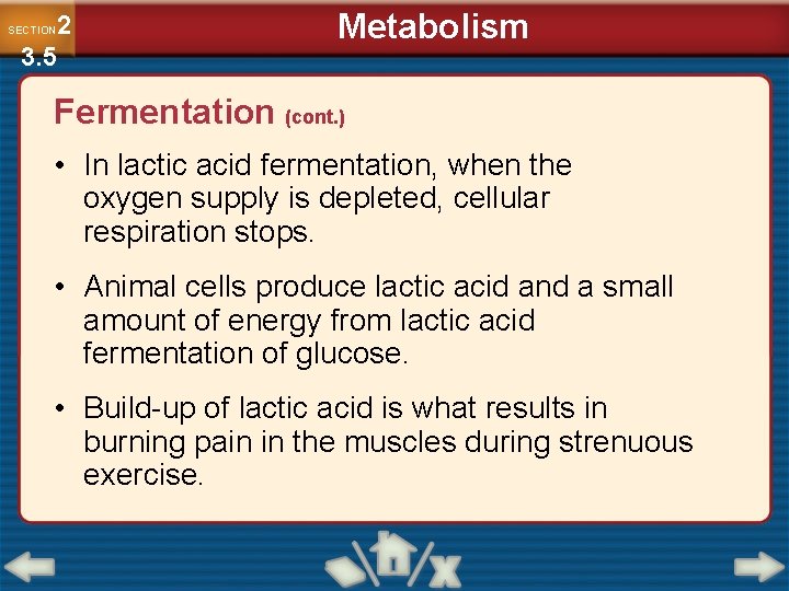 2 3. 5 SECTION Metabolism Fermentation (cont. ) • In lactic acid fermentation, when