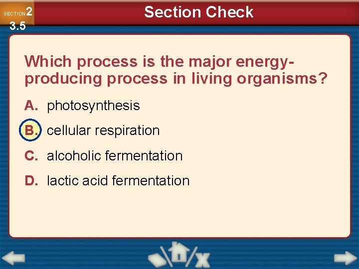 2 3. 5 SECTION Section Check Which process is the major energyproducing process in