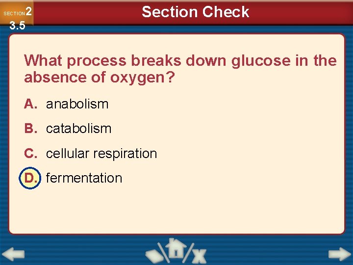 2 3. 5 SECTION Section Check What process breaks down glucose in the absence