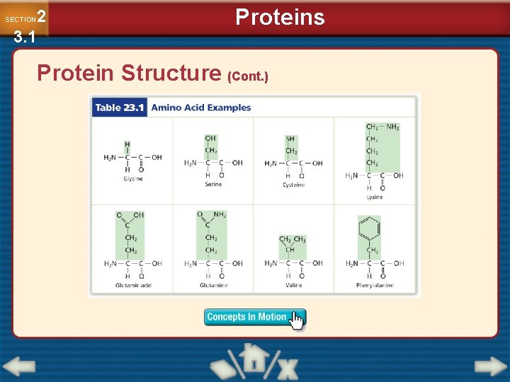 2 3. 1 SECTION Proteins Protein Structure (Cont. ) 