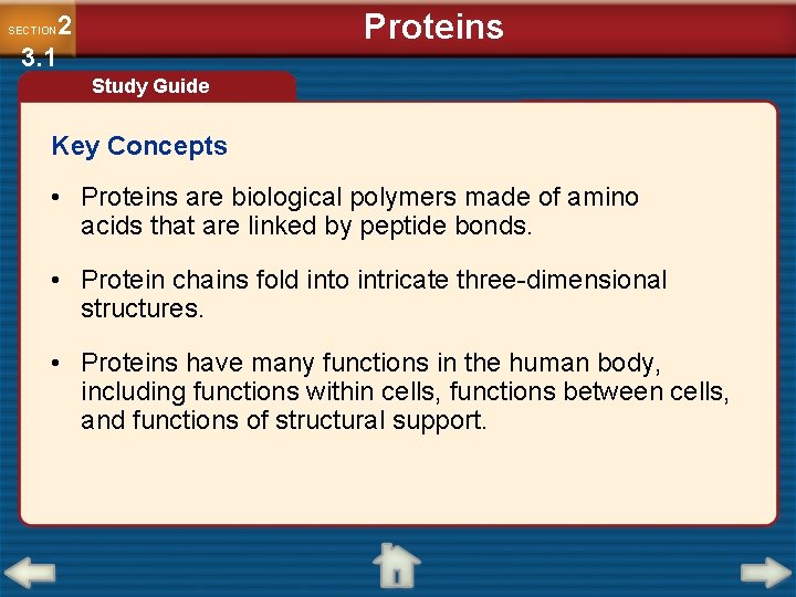 Proteins 2 3. 1 SECTION Study Guide Key Concepts • Proteins are biological polymers