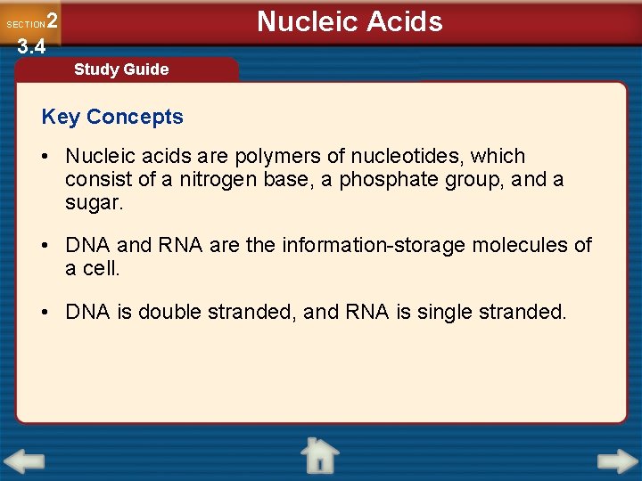 Nucleic Acids 2 3. 4 SECTION Study Guide Key Concepts • Nucleic acids are