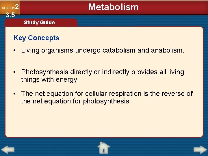 Metabolism 2 3. 5 SECTION Study Guide Key Concepts • Living organisms undergo catabolism