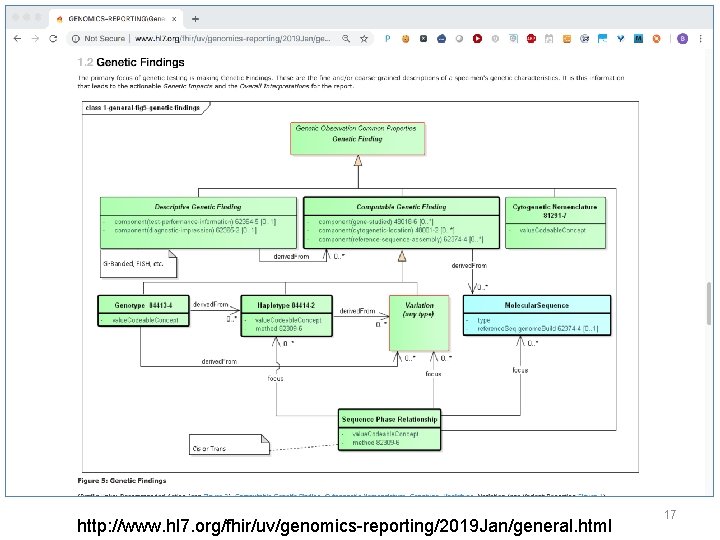 http: //www. hl 7. org/fhir/uv/genomics-reporting/2019 Jan/general. html 17 