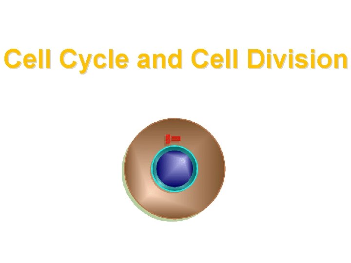 Cell Cycle and Cell Division 
