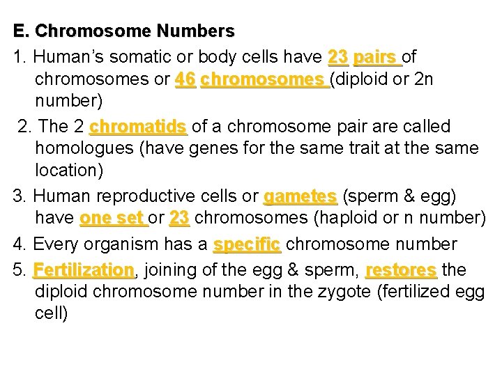 E. Chromosome Numbers 1. Human’s somatic or body cells have 23 pairs of chromosomes