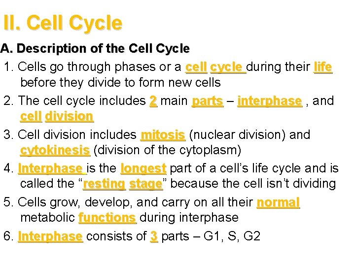 II. Cell Cycle A. Description of the Cell Cycle 1. Cells go through phases