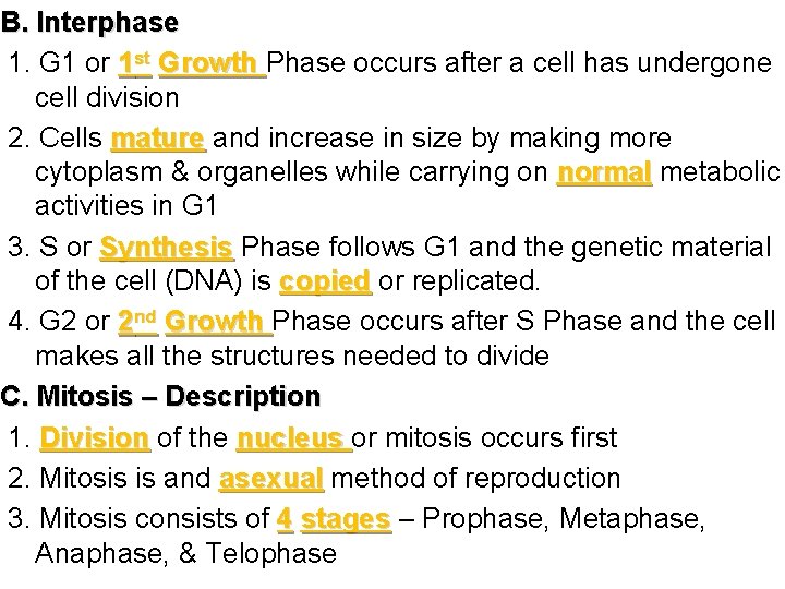 B. Interphase 1. G 1 or 1 st Growth Phase occurs after a cell