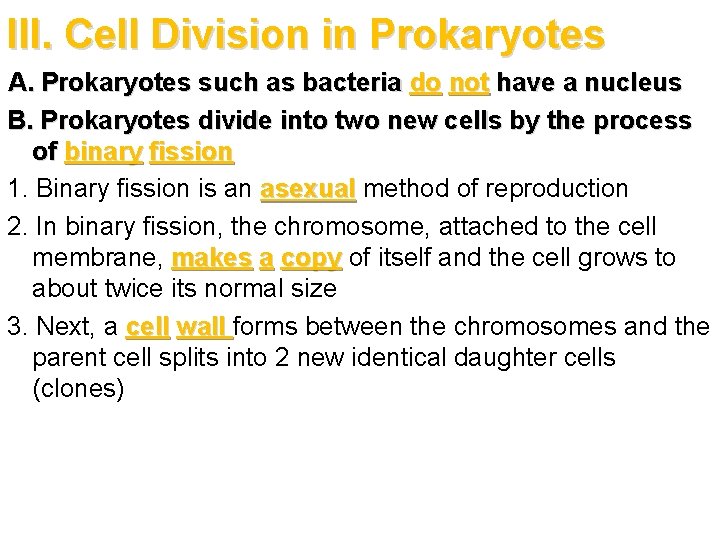 III. Cell Division in Prokaryotes A. Prokaryotes such as bacteria do not have a