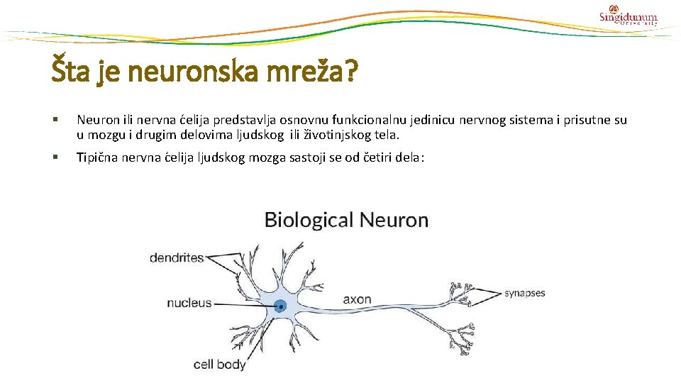 Šta je neuronska mreža? § Neuron ili nervna c elija predstavlja osnovnu funkcionalnu jedinicu Šta je neuronska mreža? § Neuron ili nervna c elija predstavlja osnovnu funkcionalnu jedinicu
