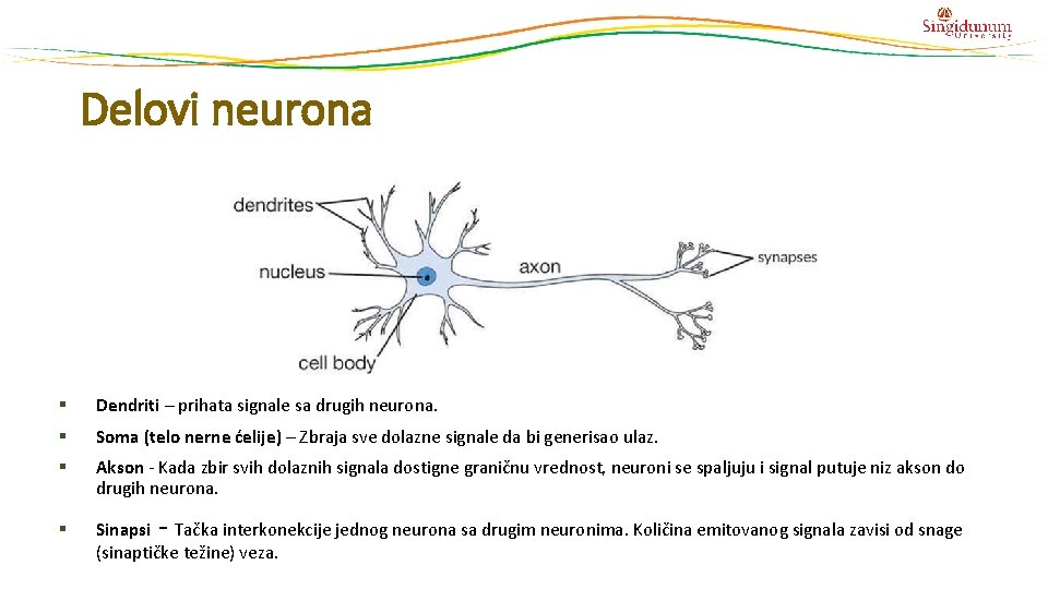 Delovi neurona § Dendriti – prihata signale sa drugih neurona. § Soma (telo nerne Delovi neurona § Dendriti – prihata signale sa drugih neurona. § Soma (telo nerne
