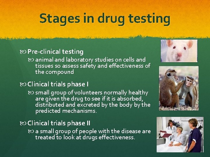 Stages in drug testing Pre-clinical testing animal and laboratory studies on cells and tissues Stages in drug testing Pre-clinical testing animal and laboratory studies on cells and tissues