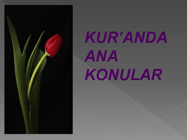 KUR’ANDA ANA KONULAR KUR’ANDA ANA KONULAR