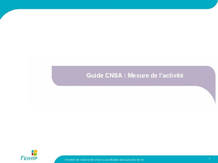 Guide CNSA : Mesure de l’activité Direction de l'autonomie et de la coordination des