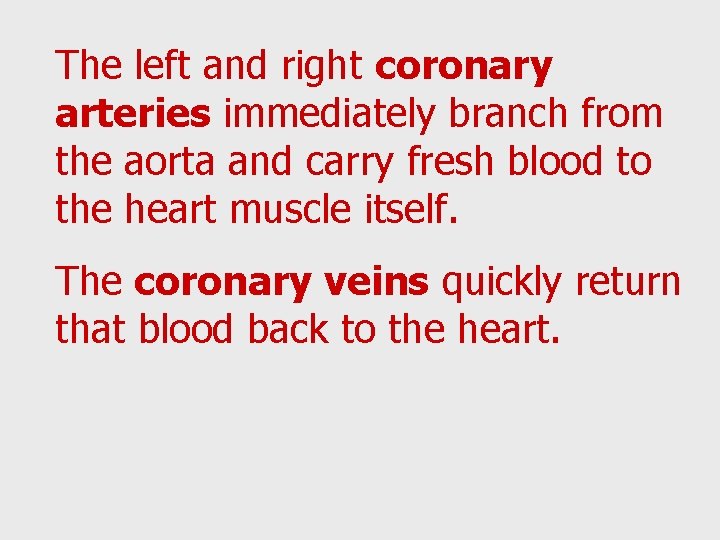 The left and right coronary arteries immediately branch from the aorta and carry fresh