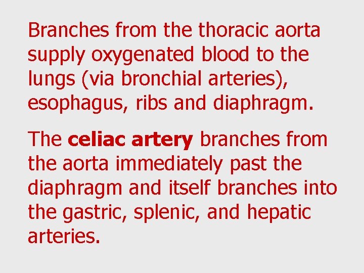 Branches from the thoracic aorta supply oxygenated blood to the lungs (via bronchial arteries),