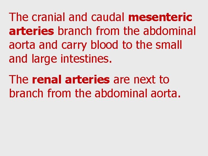 The cranial and caudal mesenteric arteries branch from the abdominal aorta and carry blood