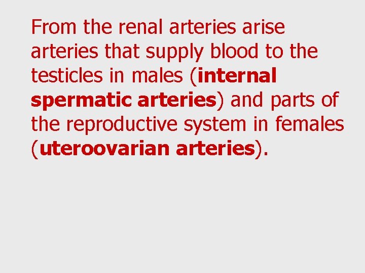 From the renal arteries arise arteries that supply blood to the testicles in males