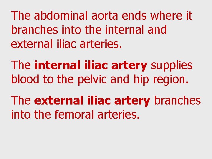 The abdominal aorta ends where it branches into the internal and external iliac arteries.