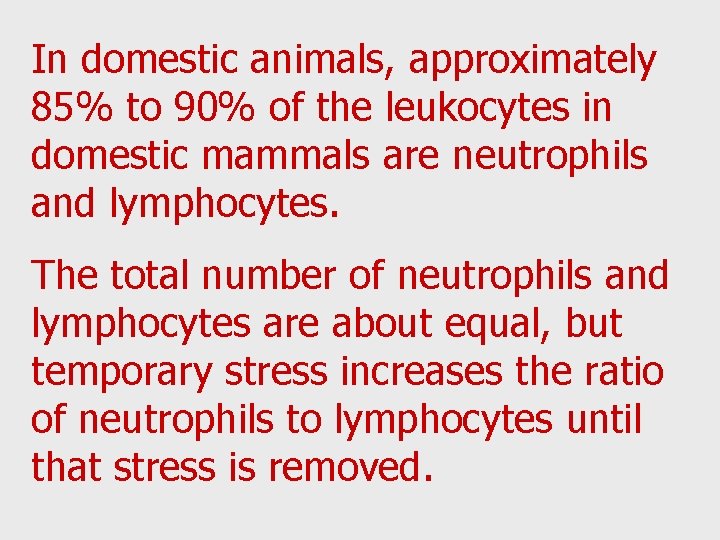 In domestic animals, approximately 85% to 90% of the leukocytes in domestic mammals are