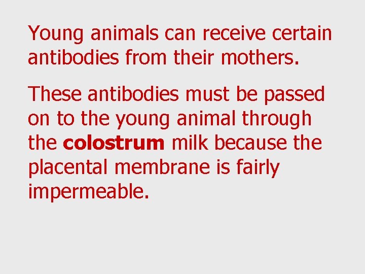 Young animals can receive certain antibodies from their mothers. These antibodies must be passed