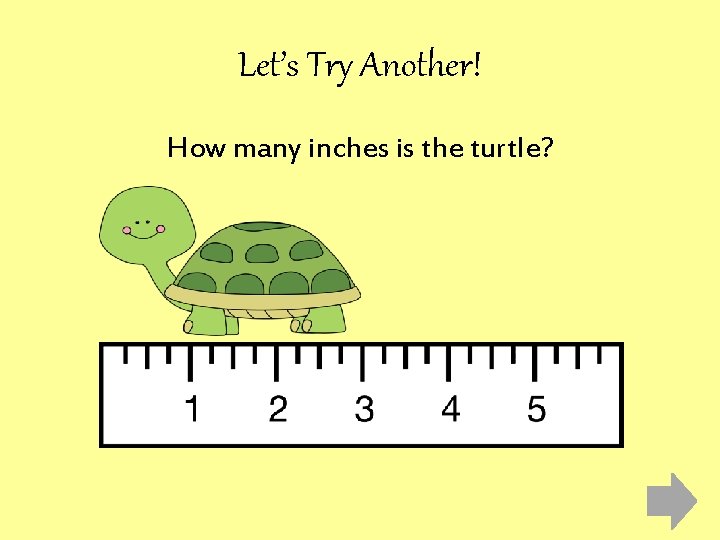 Let’s Try Another! How many inches is the turtle? 