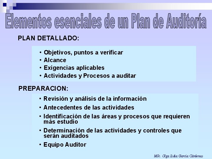 PLAN DETALLADO: • • Objetivos, puntos a verificar Alcance Exigencias aplicables Actividades y Procesos