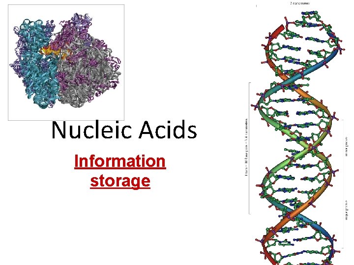 Nucleic Acids Information storage 