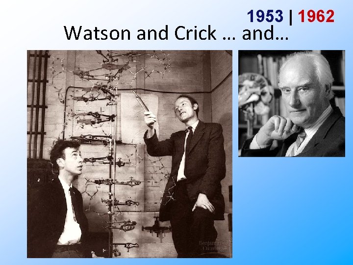 1953 | 1962 Watson and Crick … and… 