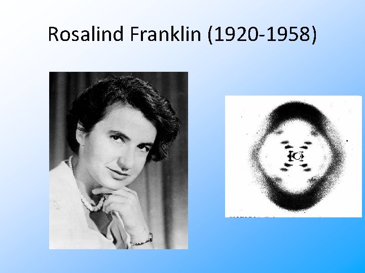 Rosalind Franklin (1920 -1958) 