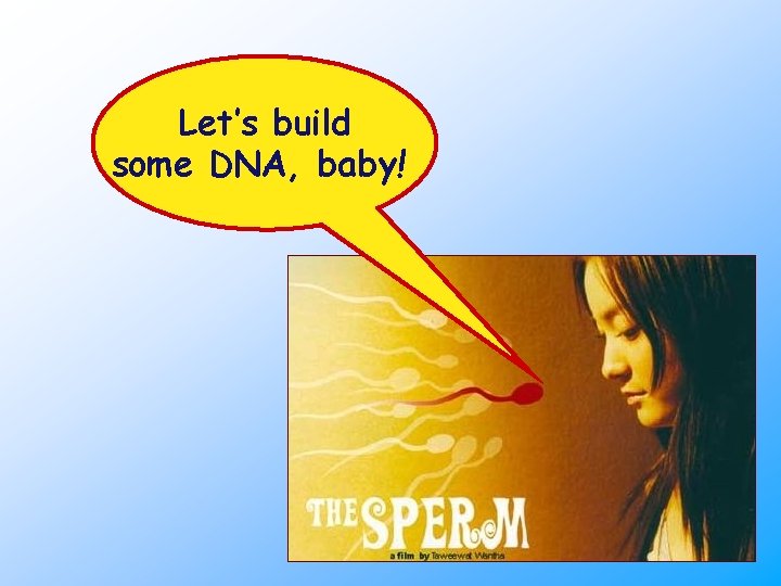 Let’s build some DNA, baby! 