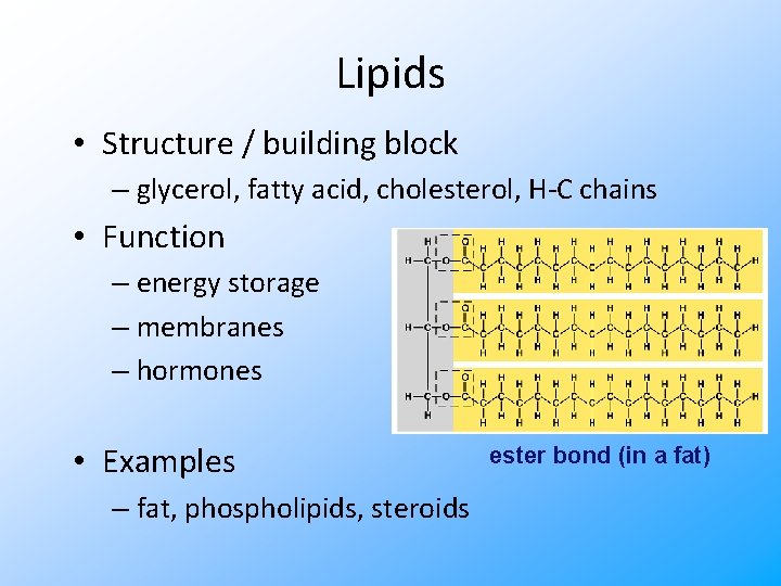 Lipids • Structure / building block – glycerol, fatty acid, cholesterol, H-C chains •