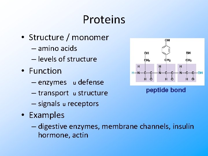 Proteins • Structure / monomer – amino acids – levels of structure • Function