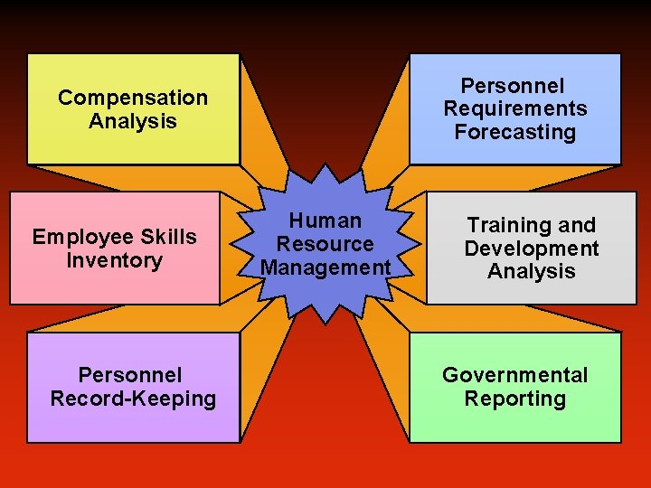 Personnel Requirements Forecasting Compensation Analysis Employee Skills Inventory Personnel Record-Keeping Human Resource Management Training