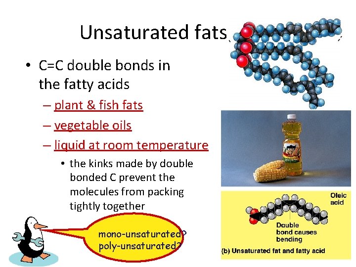 Unsaturated fats • C=C double bonds in the fatty acids – plant & fish
